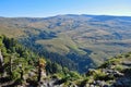 Mountain forest at the Lagonaki plateau Royalty Free Stock Photo